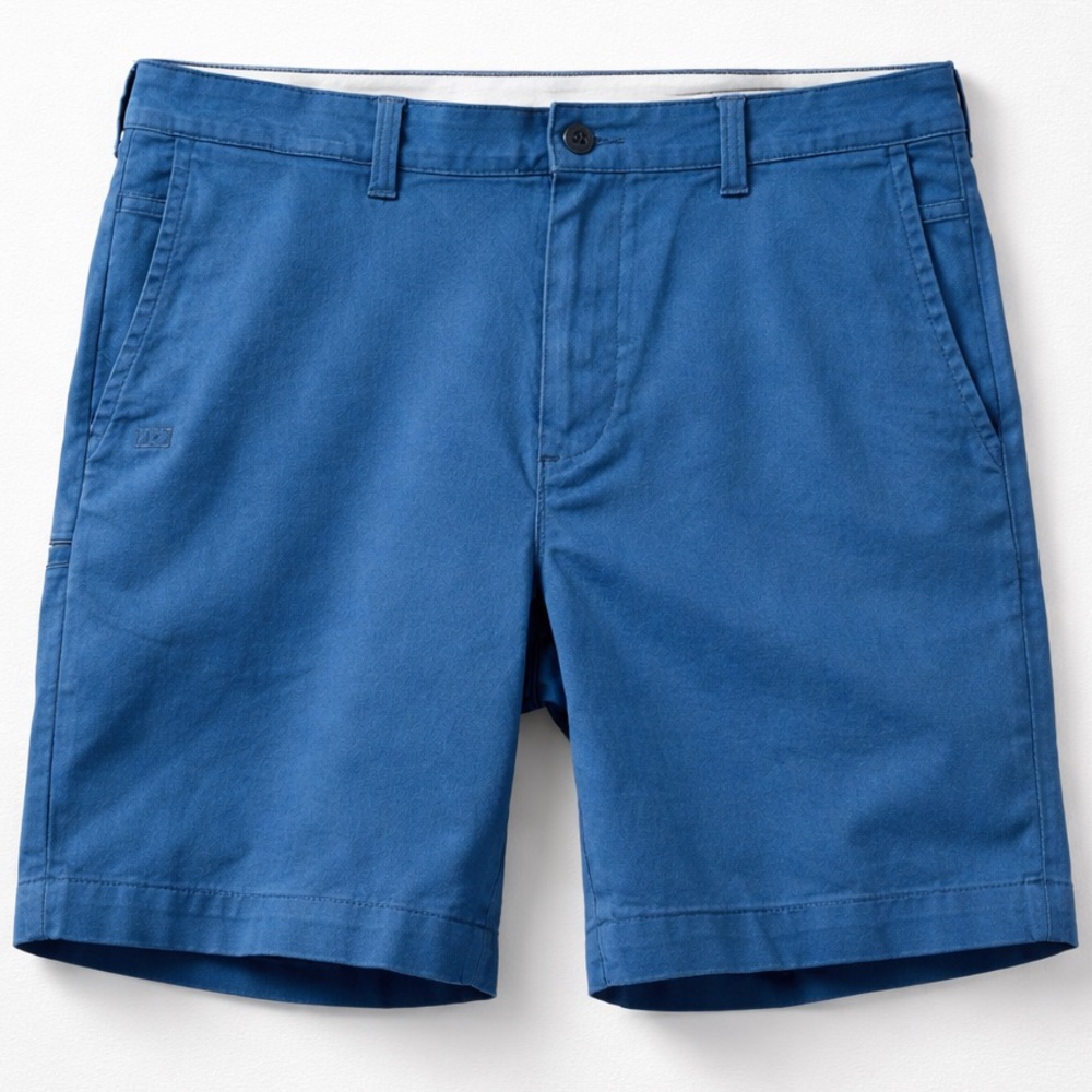 American Eagle Blue Flat Front Shorts Brand New!